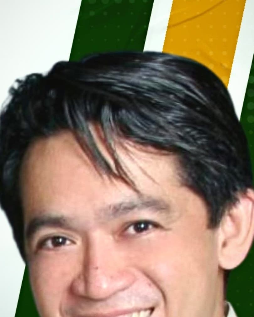 Engr. Ronaldo S. “Rannie” Ison, Outstanding Structural Engineer